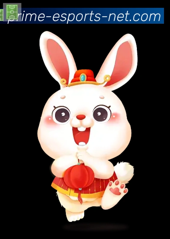 未来规划
